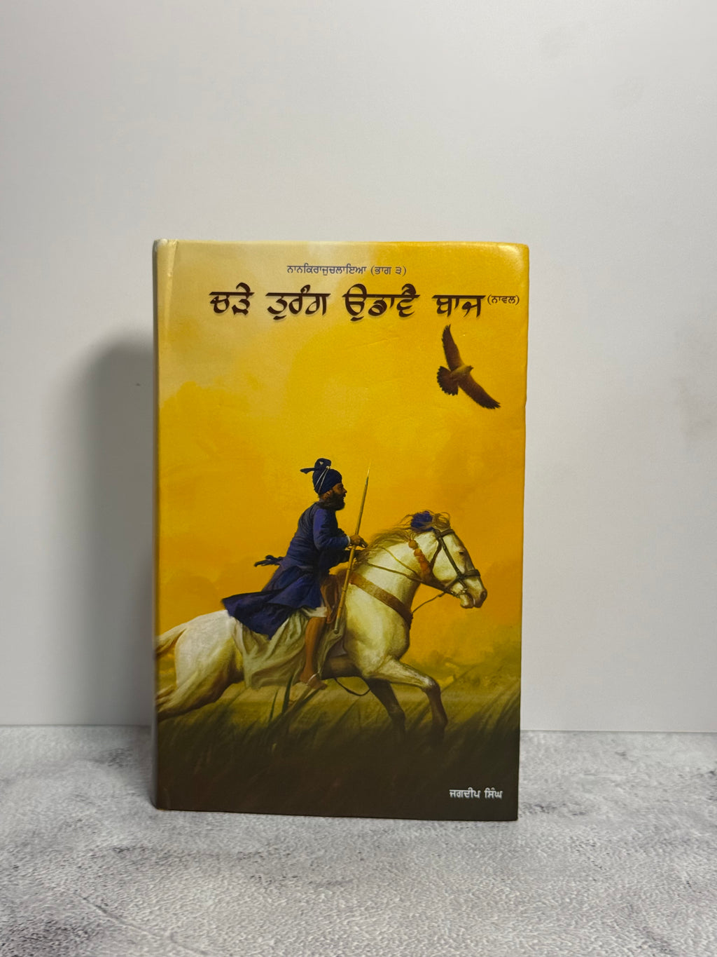 ਚੜੇ ਤੁਰੰਗ ਉਡਾਵੈ ਬਾਜ (Charhe Turang Udaawe Baaj)